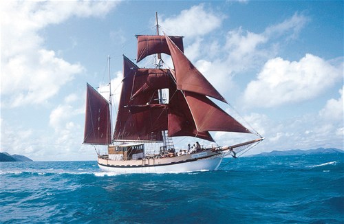 Coral Trekker